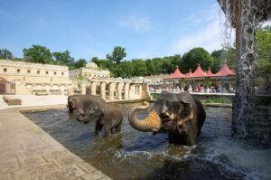 Visiter Hanovre : le Zoo d'aventure