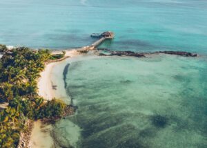 Barrière de corail dans le monde : La barrière de corail d'Andros (Bahamas)