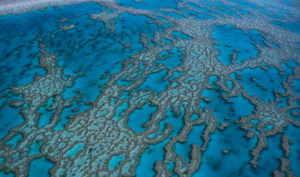 Qu'est ce qu'une barrière de corail ?