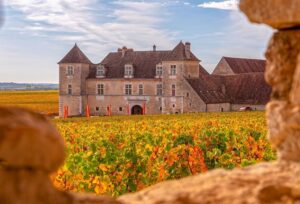 Visiter la Bourgogne en 3 jours : les plus beaux vignobles